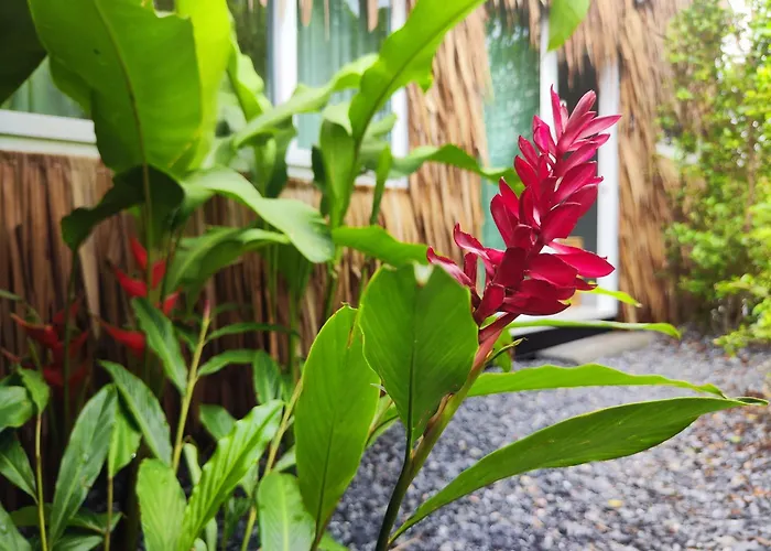 2 Bed 2 Bath Eco Home Bungalow, Bangrak Beach, Koh Samui