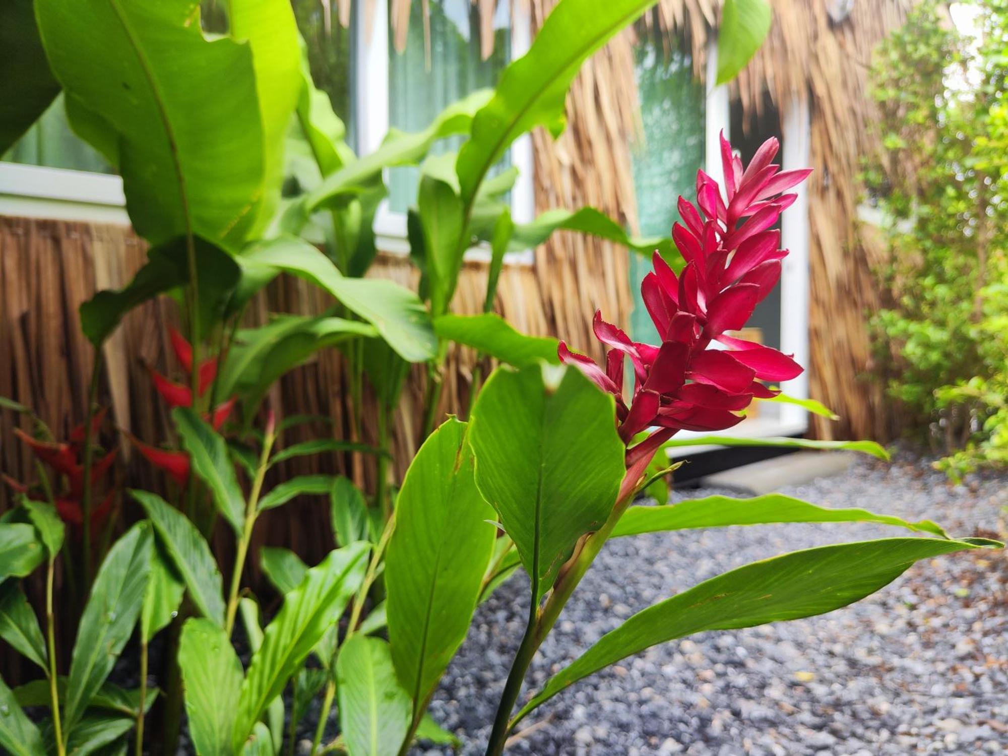 2 Bed 2 Bath Eco Bungalow, Bangrak Beach, Koh Samui Amphoe Koksamui